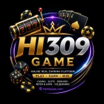 HI309 Game