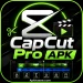 CapCut Pro APK